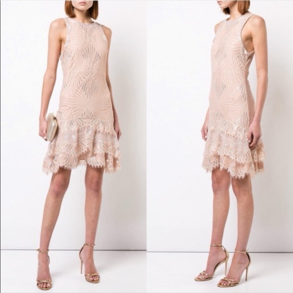 Jonathan Simkhai Metallic Mini Dress Nude size 2 - Picture 2 of 16